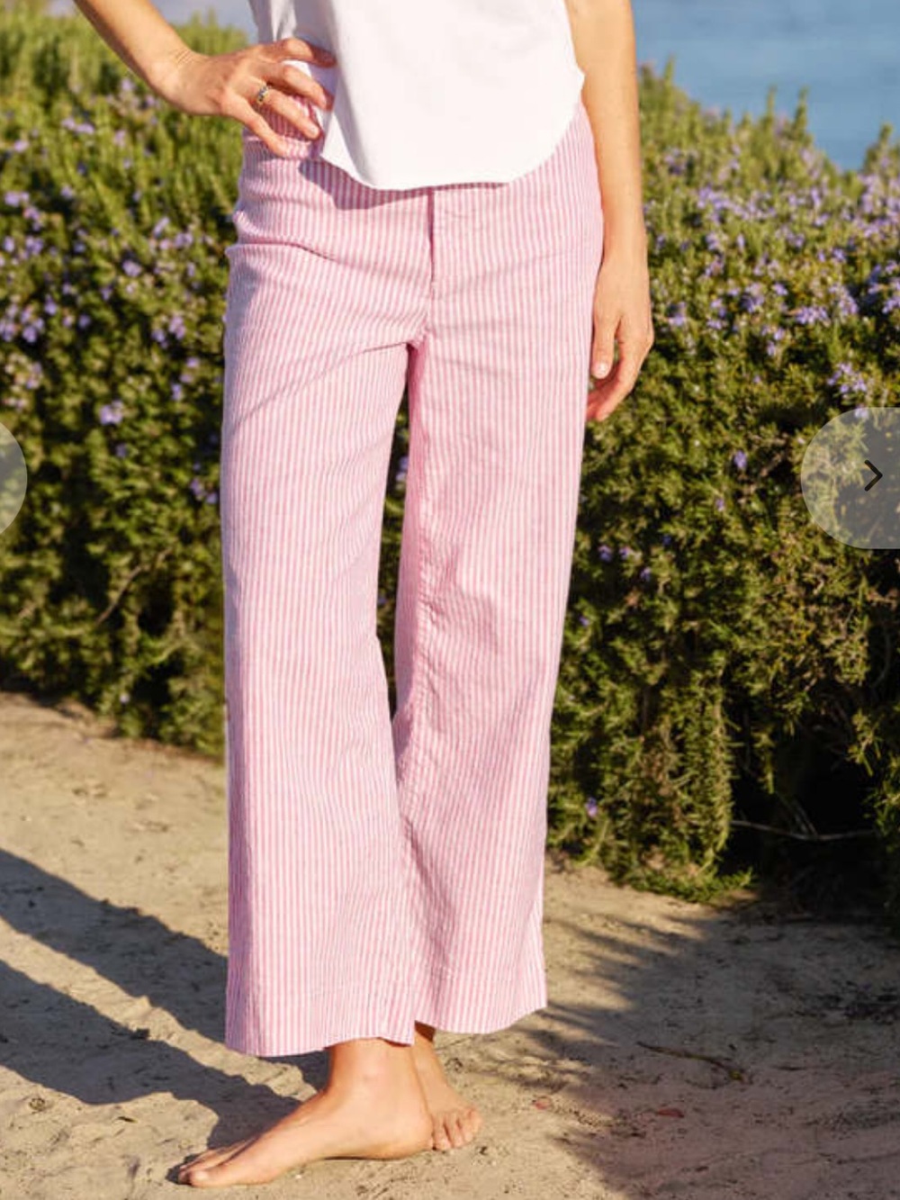 NEW Frank & Eileen Wexford Pants